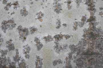 Bark texture background pattern crack old brown for design