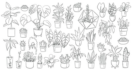 Fototapeta na wymiar Vector doodle set plants in pots. Hand-drawn aloe, monstera, cactus, avocado, succulents, flowers, herbs. Illustration with house plants for interior design, decoration, children coloring book, cover.