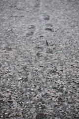 道路に積もった雪と桜の花びらと足跡