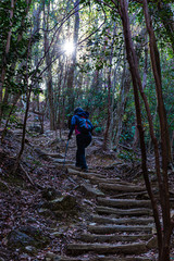 宝塚中山渓谷から三角山へ