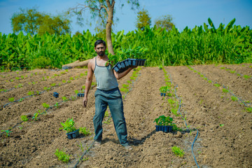 young indian farmer at banana tissue culture field