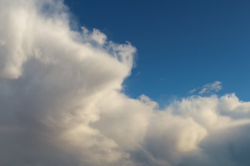 Fototapeta premium Large Cumulus mediocris cloud on the blue sky during sunset. Theme of beautiful landscapes.