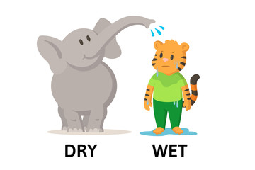 Words dry and wet textcard with cartoon animal characters. Opposite adjectives explanation card. Flat vector illustration, isolated on white background.