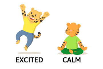 Words excited and calm textcard with cartoon cheetah and tiger characters. Opposite adjectives explanation card. Flat vector illustration, isolated on white background.
