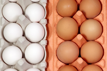 White and brown eggs in package. Chicken eggs in carton cells