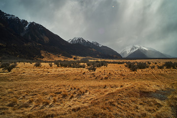 Fields of brown alpine grass landscape with snow covered mountains in the background and clouds overhead at Mt Cook in New Zealand South Island