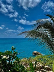 view of the ocean, green trees, palm leaves, large stones against a blue sky with white clouds, under the sun on a tropical island