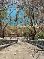 white staircase on the observation deck leading to the sea against a blue sky with white clouds and green trees under the sun in the tropics