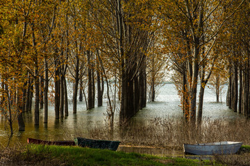 Fototapeta premium Docked boats on the river shore in autumn forest
