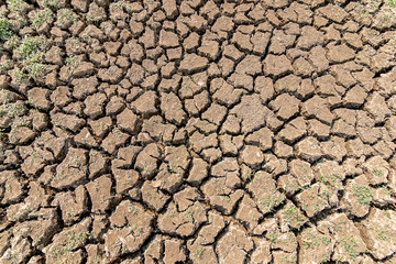 Landscape dried and cracked background. The soil dry land cracked ground surface.