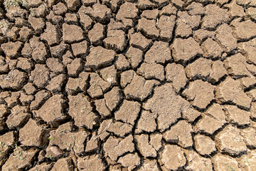 Landscape dried and cracked background. The soil dry land cracked ground surface.