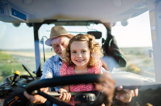 Senior farmer with small granddaughter sitting in tractor, driving.