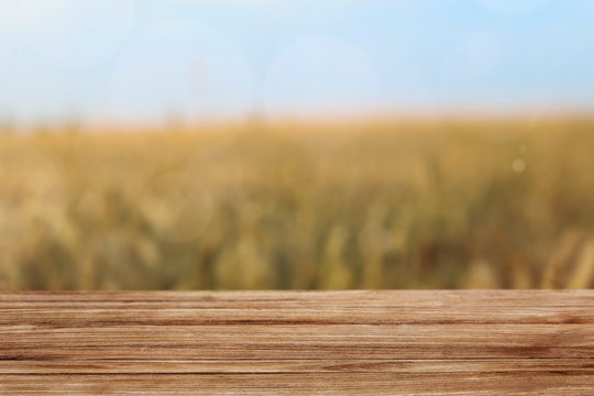 Wooden plank in the field product background