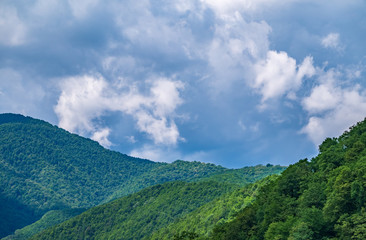Obraz na płótnie Canvas Green mountain slope on cloudy day.