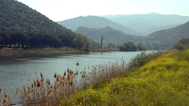 Trees and spring flowers on the lake in the park. This 3840x2160 (4K) bit of video is applicable to use in any project that has to do with nature, lake and stream.