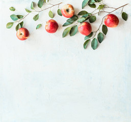 Tasty ripe red apples with branches and green leaves on rustic white background, top view. Border or frame with copy space for your design
