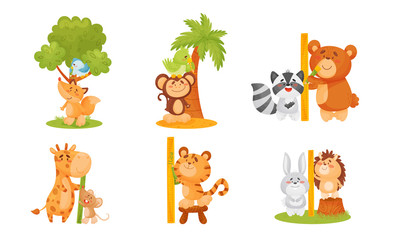 Obraz na płótnie Canvas Funny Animals Measuring and Comparing Heights Vector Set