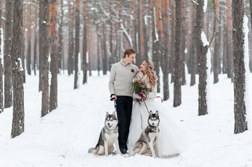 Fototapeta na wymiar Cheerful couple are playing with siberian husky in snowy forest. Winter wedding.