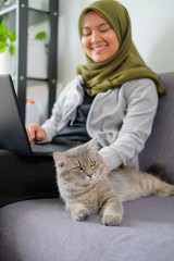 Domestic cat accompany young happy asian muslim female adult sitting at the sofa while working from home.