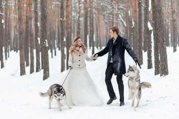 Cheerful bride and groom with two siberian husky are posed on background of snowy forest.