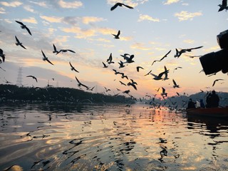 Beautiful sunrise in Delhi (Yamuna Ghat) during winter