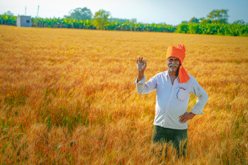 Naklejka na ściany i meble young indian farmer at golden wheat field