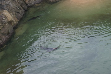 The Terrible Mediterranean Sea in Santander, Spain