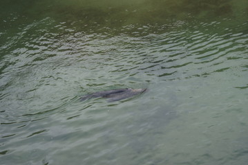 The Terrible Mediterranean Sea in Santander, Spain