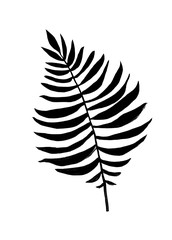 black and white illustration, tropical leaf, graphics, nature