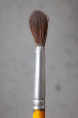 small brush on grey background