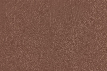 Fototapeta premium Brown leather grain texture