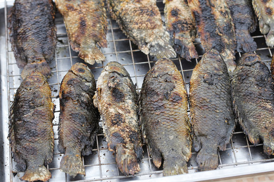 Grilled Anabas fish on the market