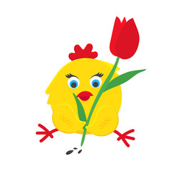 Cute funny little chick chiken hen cartoon flat style design vector illustration isolated on white background. Funny yellow chicken standing up on the ground.