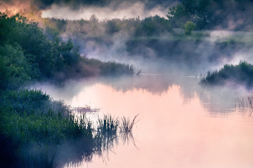 Obraz na płótnie Canvas River in the early morning at dawn. Delicate dawn sky and fog rising above the water, lush greenery on the banks. Summer spring wild landscape by the river. Selective soft focus.