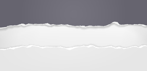 Fototapeta premium Pieces of torn black horizontal paper with soft shadow stuck on white background. Vector illustration