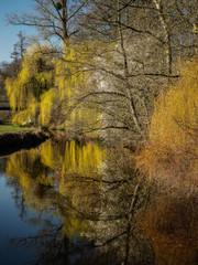 Spring Colour Reflection - Fr&uuml;hlingsfarben im Spiegel