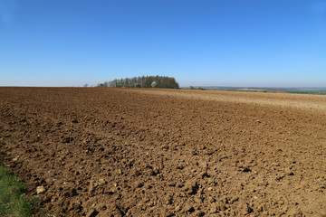 Spring landscape. Plowed and sown field in the spring.