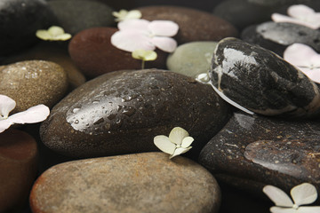 Fototapeta na wymiar Stones and flowers in water as background, closeup. Zen lifestyle