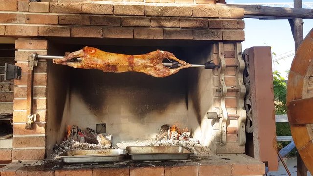 Spit Roasted Lambs, traditional way of roasting lambs on a rotisserie spit in Bulgaria. Cooking and roasting whole lamb called cheverme at a restaurant for customer.