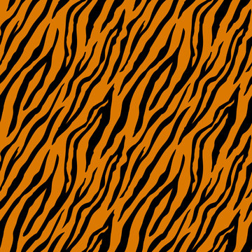 Seamless pattern with tiger stripes. Animal print.