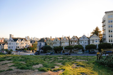 Obraz premium The Painted Ladies