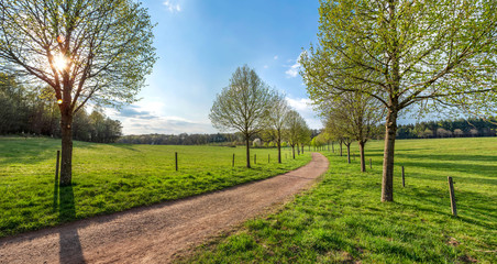 Fototapeta na wymiar Saarland - Feldweg im Frühling mit Gegenlicht Landschaft bei Theley im St. Wendler Land