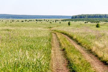 Fototapeta na wymiar The harvest in the south Ural. Russia