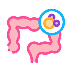gut in stomach icon vector. gut in stomach sign. color symbol illustration