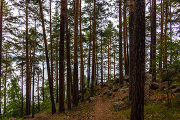 Big Kisegach lake, Chelyabinsk region, Russia