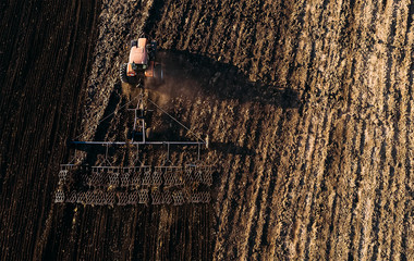 Aerial top view of tractor plows the field in sunset, sunrise, raising dust, and behind it fly birds. Agriculture industry, cultivation of land.