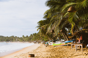 Obraz na płótnie Canvas Strand Paradiese - Palmen Arugam Bay Sri Lanka