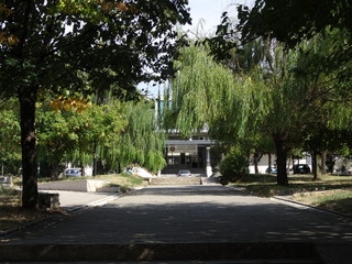 Fototapete bei efototapeten.de bestellen   