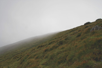 foggy green hill