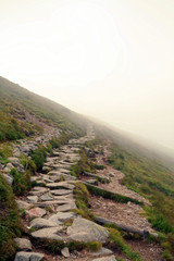 rocky mountain path